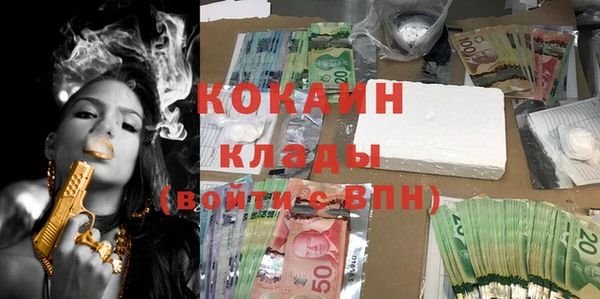 спайс Ладушкин