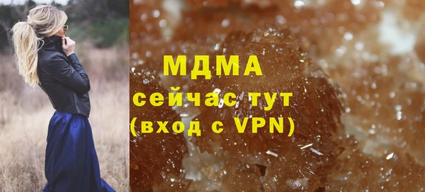 ГАЛЛЮЦИНОГЕННЫЕ ГРИБЫ Лагань