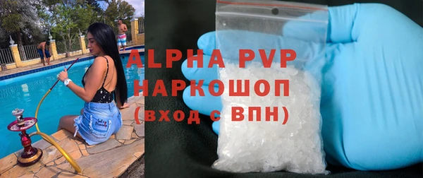 спайс Ладушкин